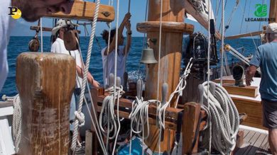 Inquinamento nei mari italiani, un reato ogni due ore