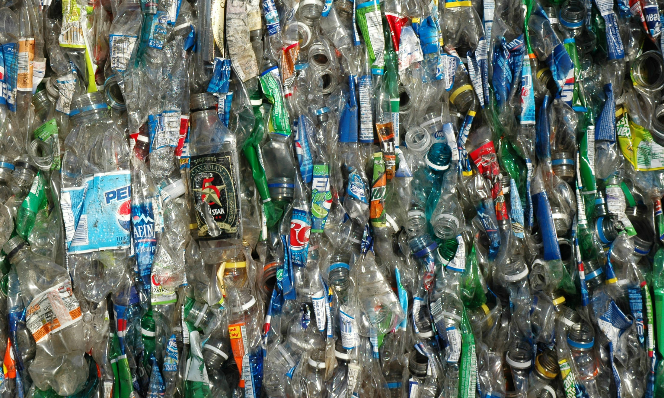 Digitale, l’inquinamento invisibile che divora l’elettricità mondiale