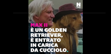 Il cane che fa il sindaco di una cittadina californiana