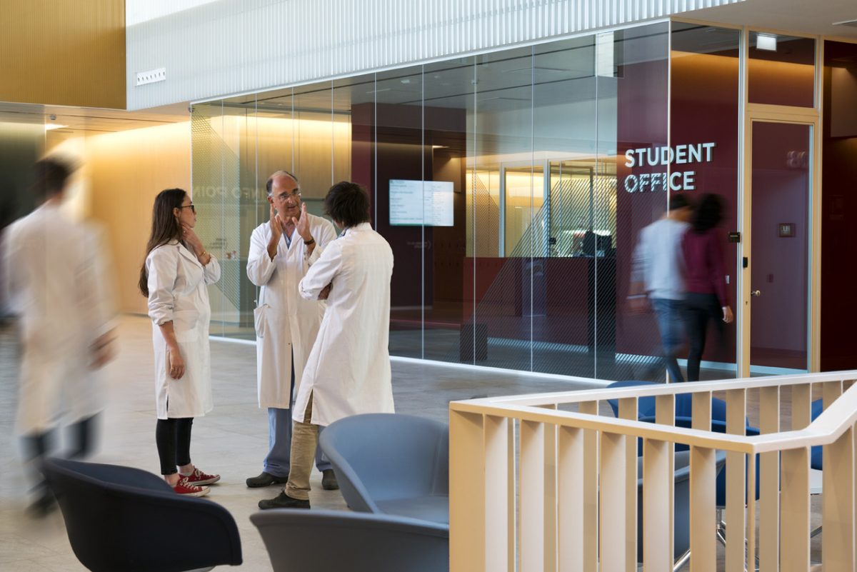 Galleria foto 'Medtec School, il primo corso di laurea tra medicina ed ingegneria' - foto 3