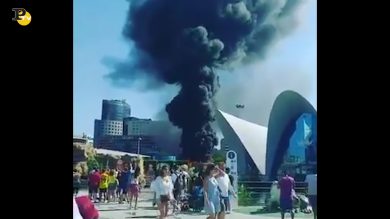 Valencia, incendio all’Oceanografico: evacuate 1400 persone