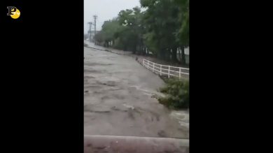 Piogge torrenziali in Giappone, ci sono morti e feriti