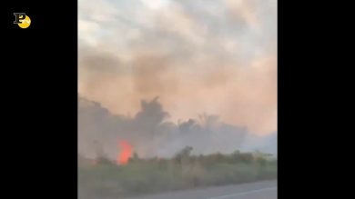 Brasile, Amazzonia in fiamme registra record di incendi