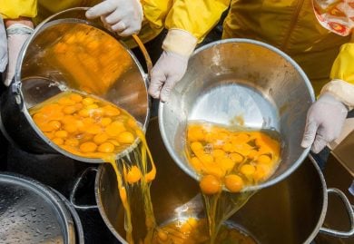 Food: l’uovo senza uova