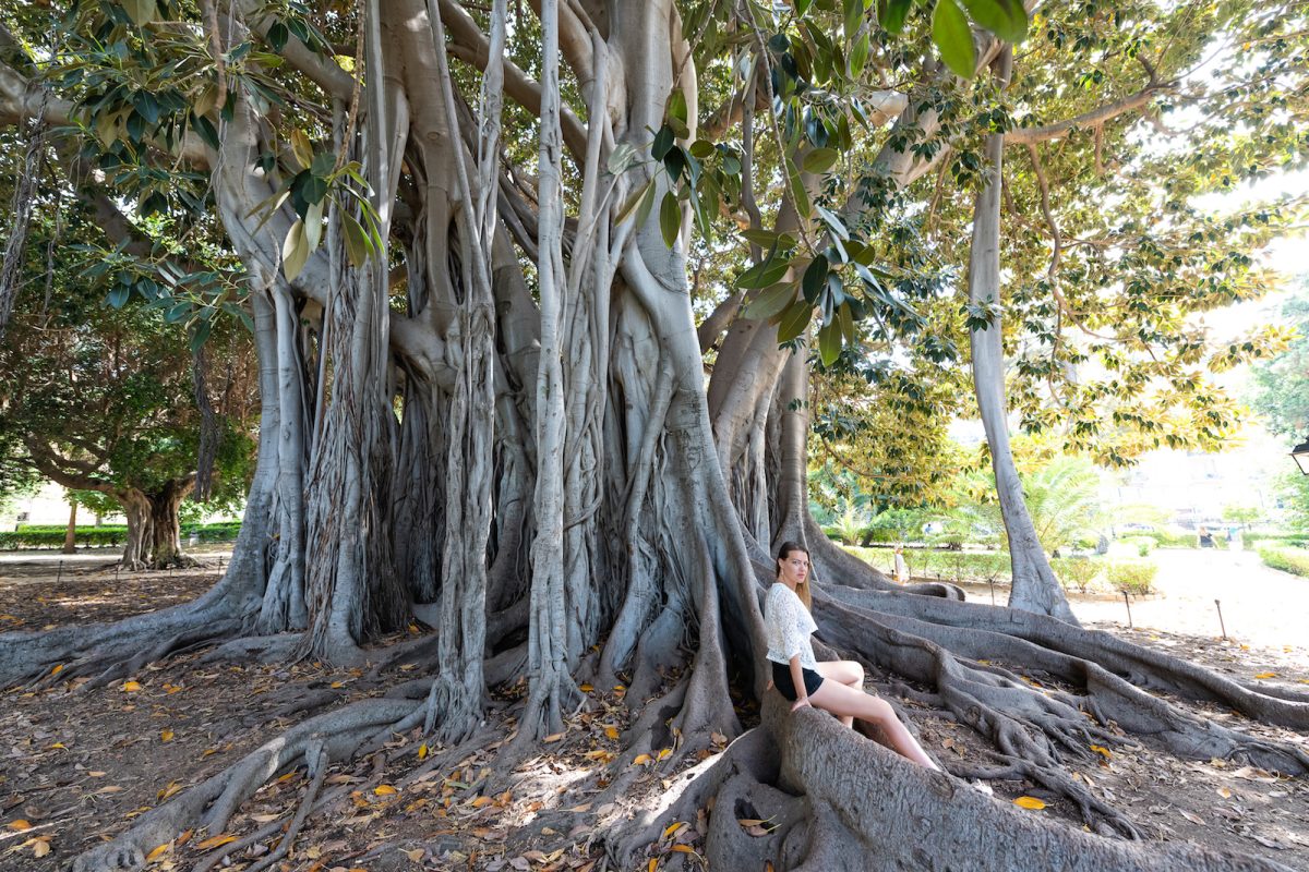 Galleria foto 'Palermo, così rifiorisce il quartiere della Kalsa' - foto 4