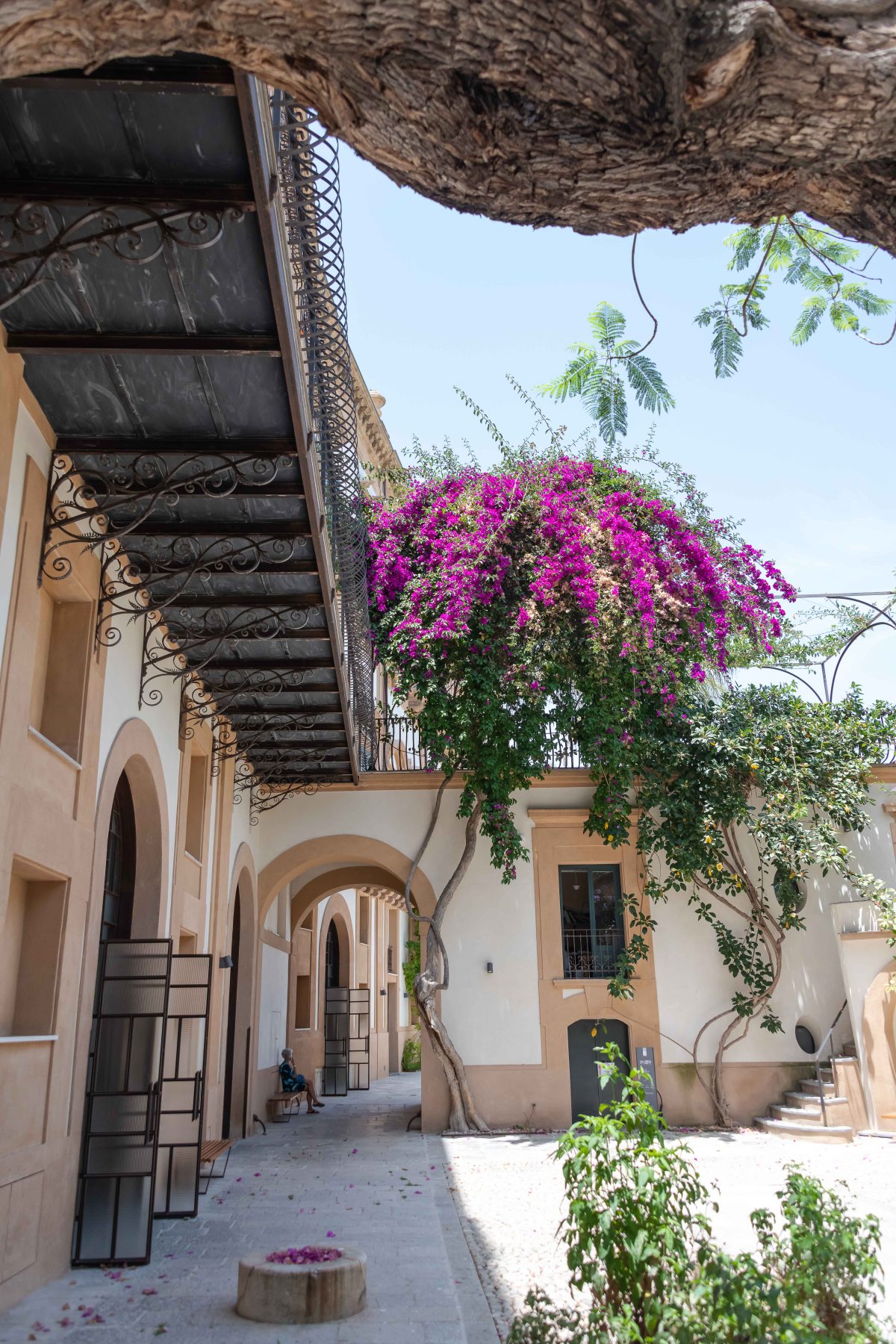 Galleria foto 'Palermo, così rifiorisce il quartiere della Kalsa' - foto 9