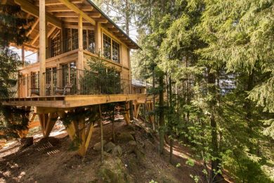 I più belli hotel e case nel bosco