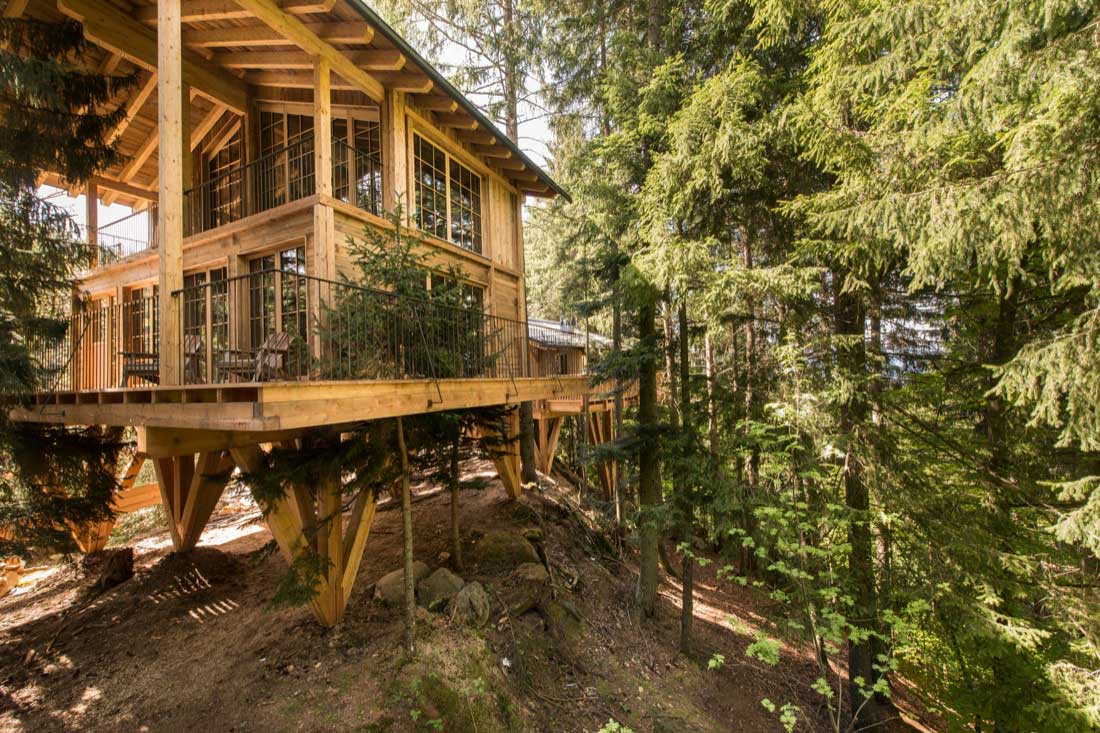 I più belli hotel e case nel bosco
