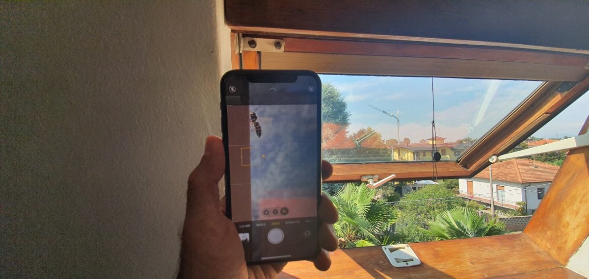 Galleria foto 'iPhone 11 Pro, vale davvero la pena comprarlo?' - foto 6