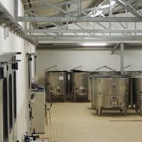 Cantina Cordeschi racconta come si fa il vino Cantina Cordeschi racconta come si fa il vino