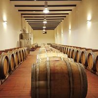 Cantina Cordeschi racconta come si fa il vino Cantina Cordeschi racconta come si fa il vino