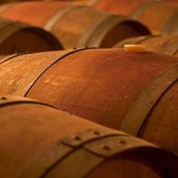 Cantina Cordeschi racconta come si fa il vino Cantina Cordeschi racconta come si fa il vino