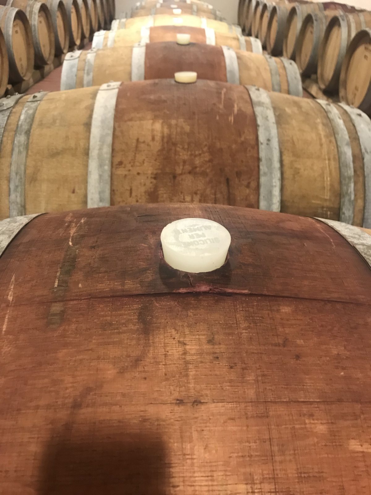 Galleria foto 'Cantina Cordeschi racconta come si fa il vino' - foto 4