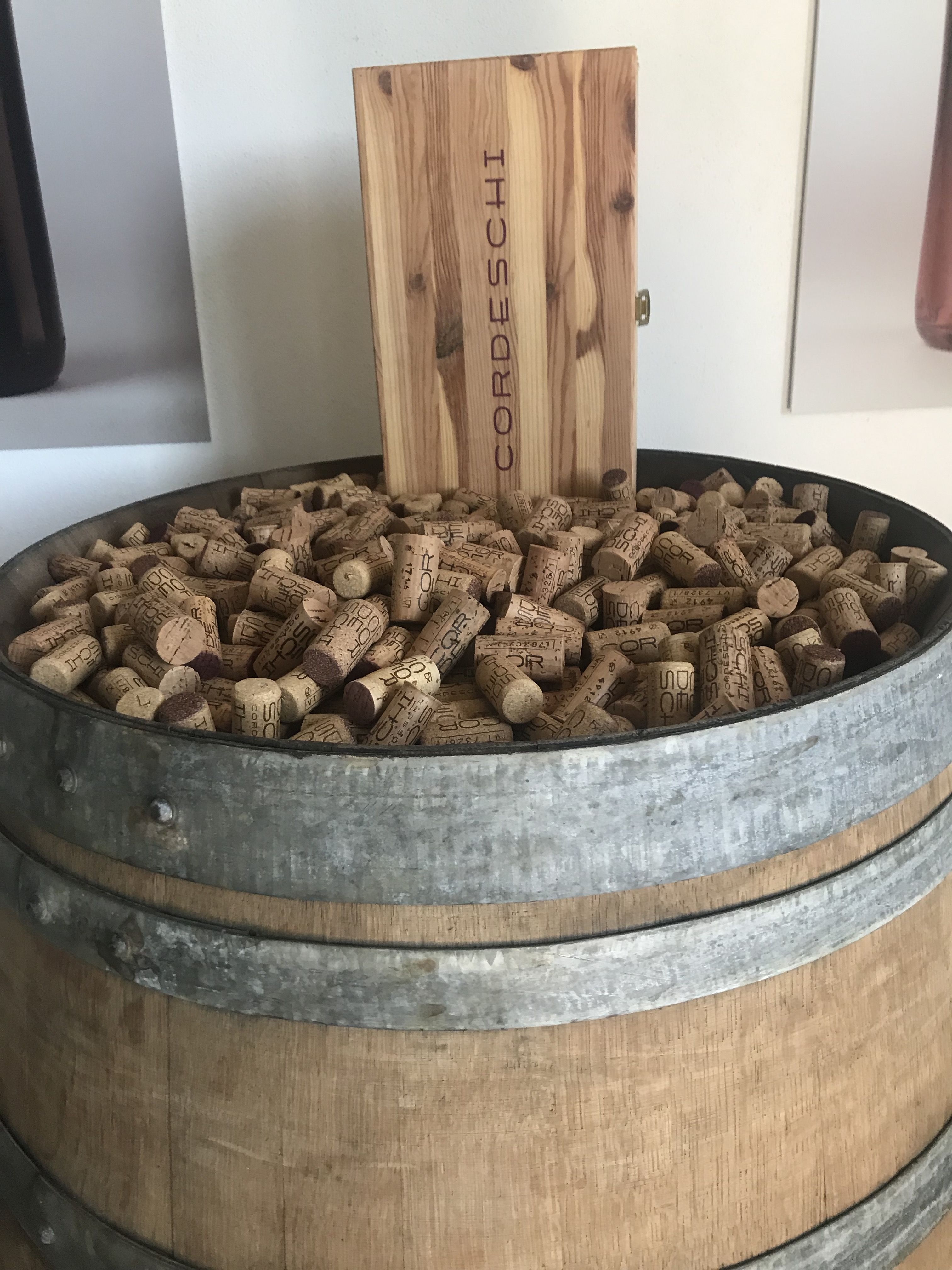 Cantina Cordeschi racconta come si fa il vino Cantina Cordeschi racconta come si fa il vino