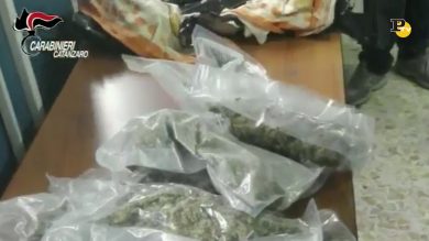 Calabria, operazione anti ‘ndrangheta per traffico di droga