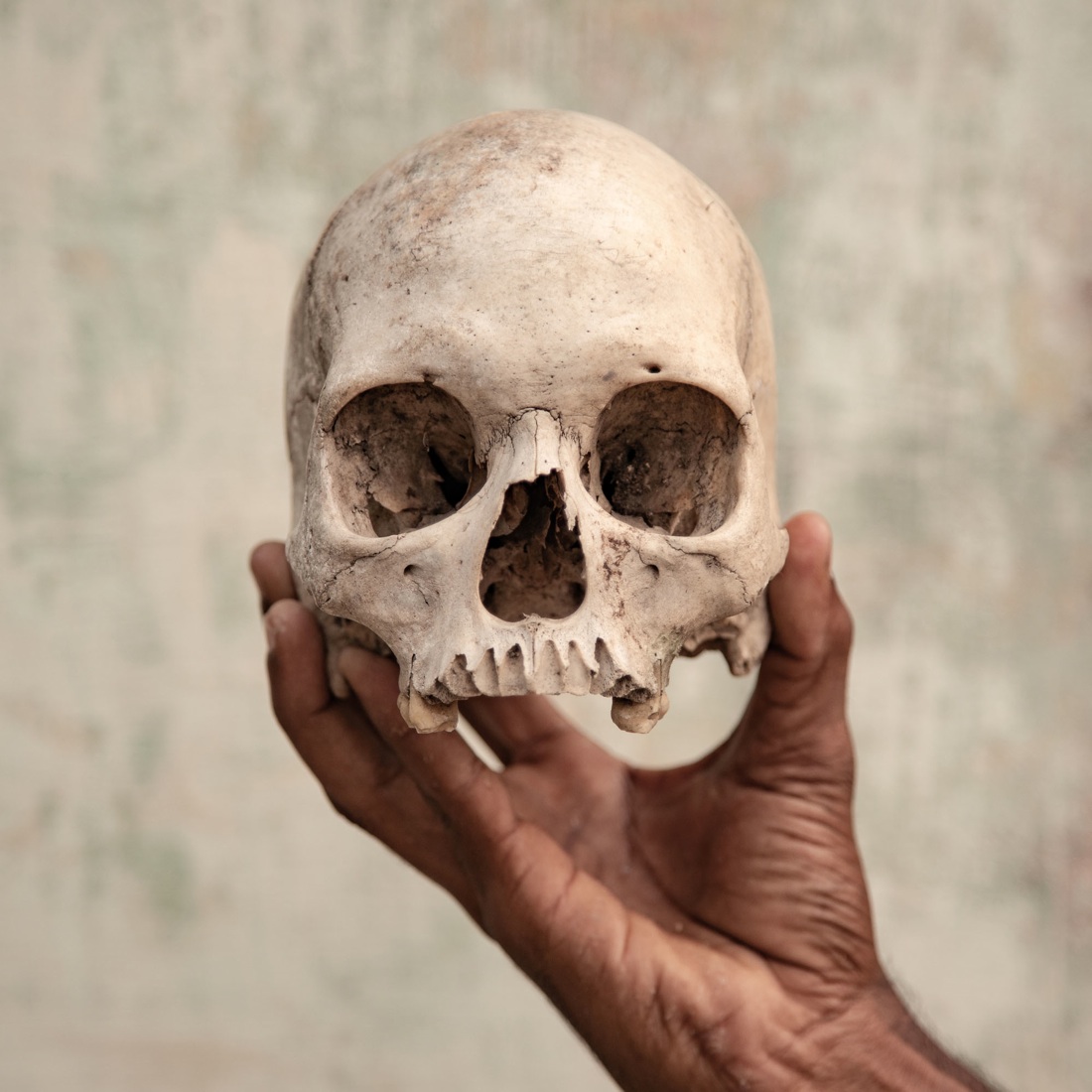 I Sony World Photography Awards in mostra a Monza I Sony World Photography Awards in mostra a Monza
