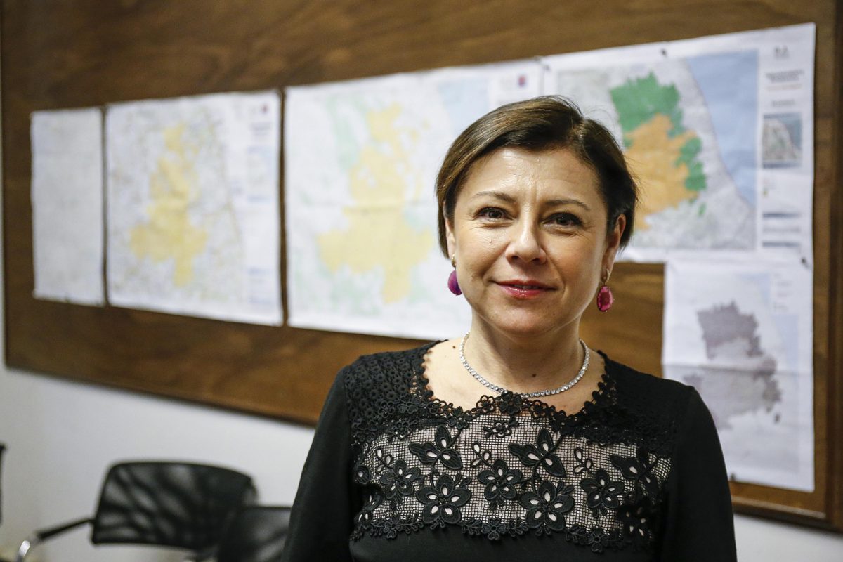 Ecco i ministri del governo Conte-bis Ecco i ministri del governo Conte-bis