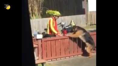 Un postino affettuoso con il cagnolino del vicino