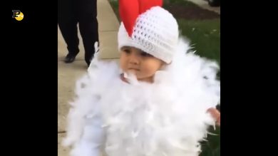 Un bambino cammina travestito da galletto