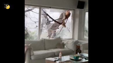 Spagna, tromba d’aria devastante a Ibiza con forte vento