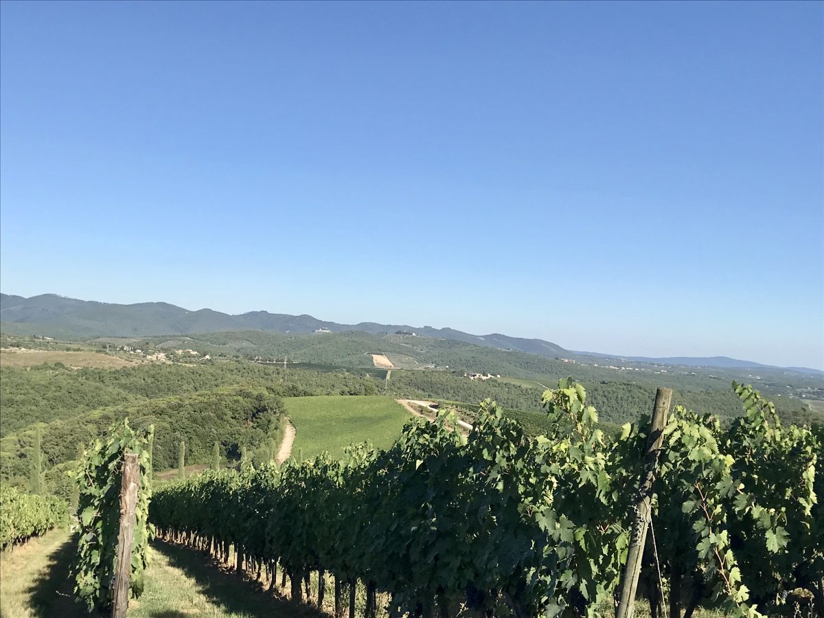 Galleria foto 'Chianti: dove dormire, mangiare, comprare vino (e non solo) | la guida' - foto 2