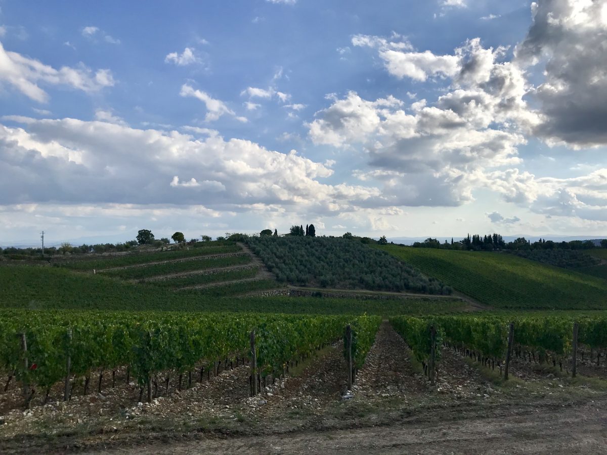 Galleria foto 'Chianti: dove dormire, mangiare, comprare vino (e non solo) | la guida' - foto 3