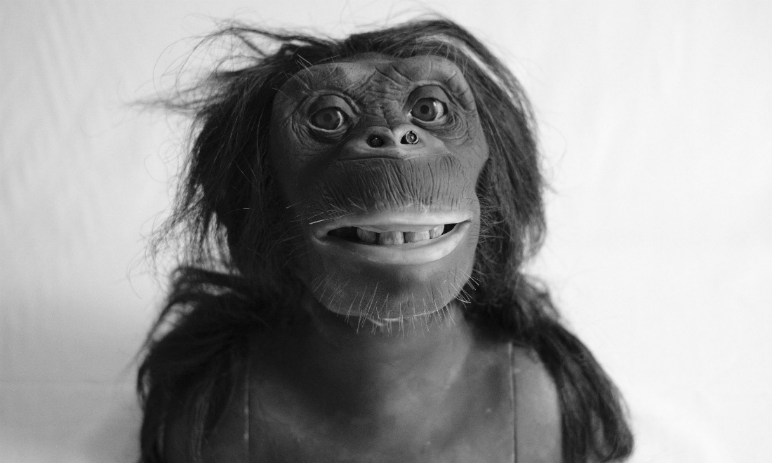 Io, Robotto. Com’è la mostra dedicata alla storia degli automi Io, Robotto. Com’è la mostra dedicata alla storia degli automi