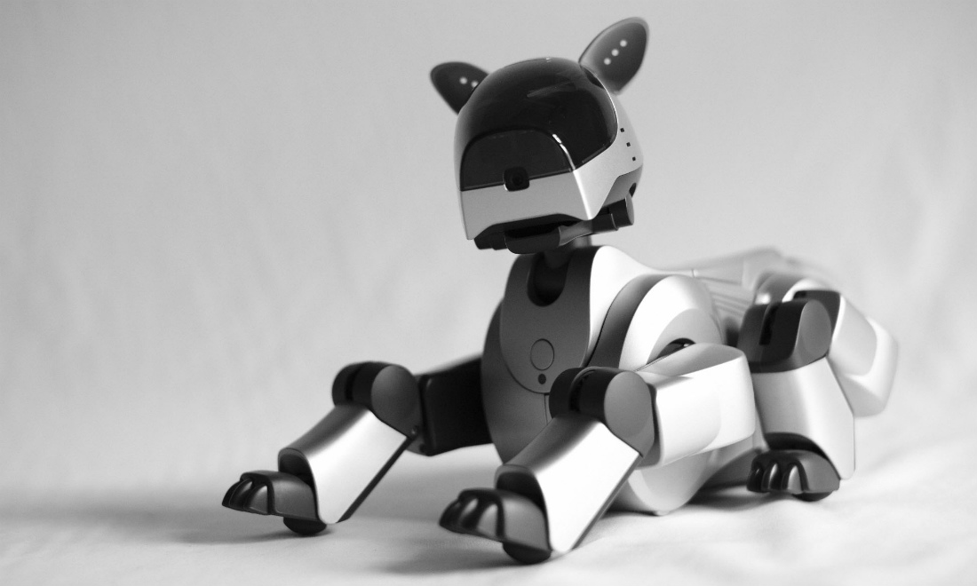 Io, Robotto. Com’è la mostra dedicata alla storia degli automi Io, Robotto. Com’è la mostra dedicata alla storia degli automi