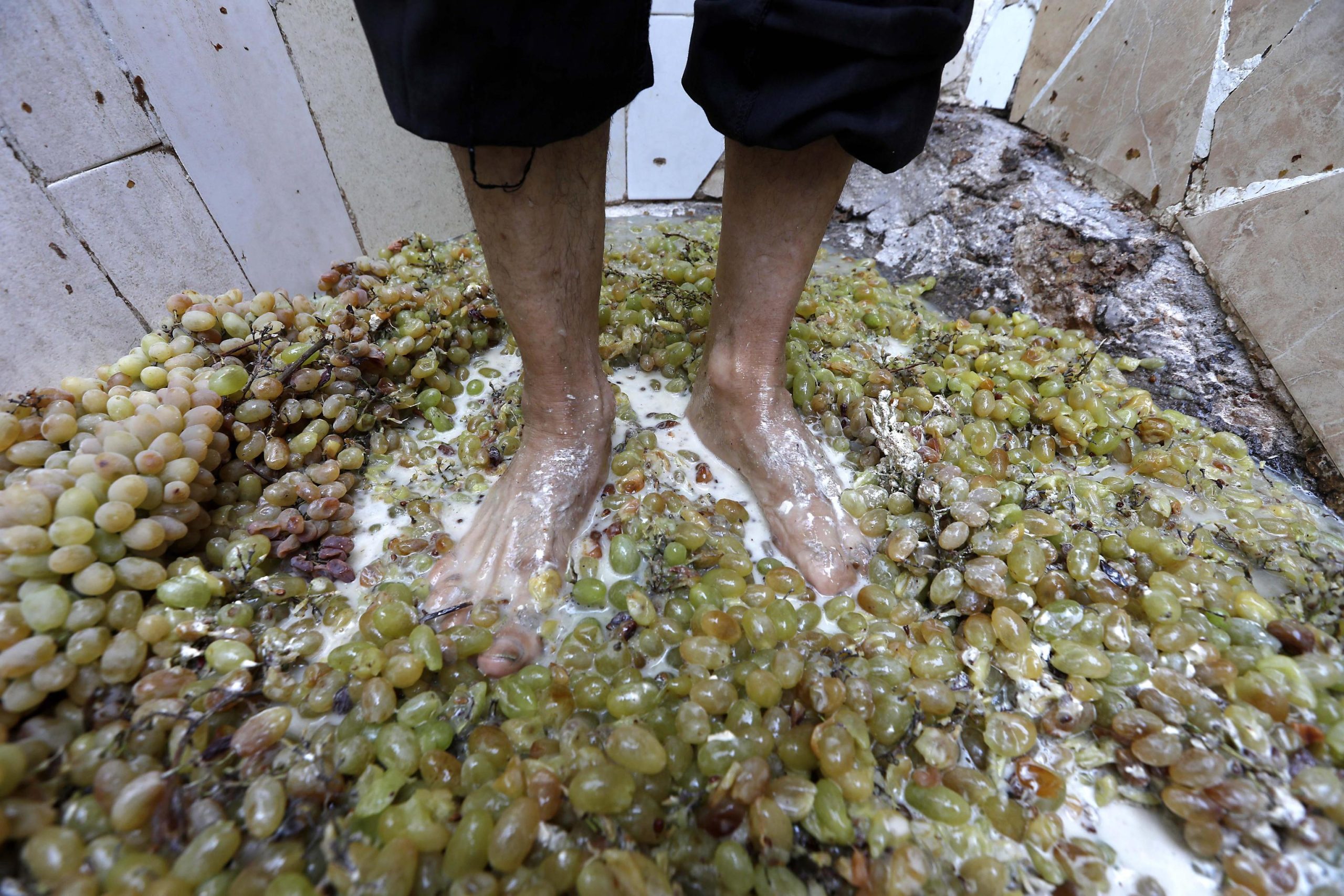 Il nuovo turismo tra cantine, vigneti e vendemmia Il nuovo turismo tra cantine, vigneti e vendemmia