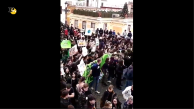 In tantissimi a Roma per il Fridays for Future