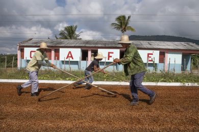 L’impegno di Lavazza per sostenere la comunità di Cuba