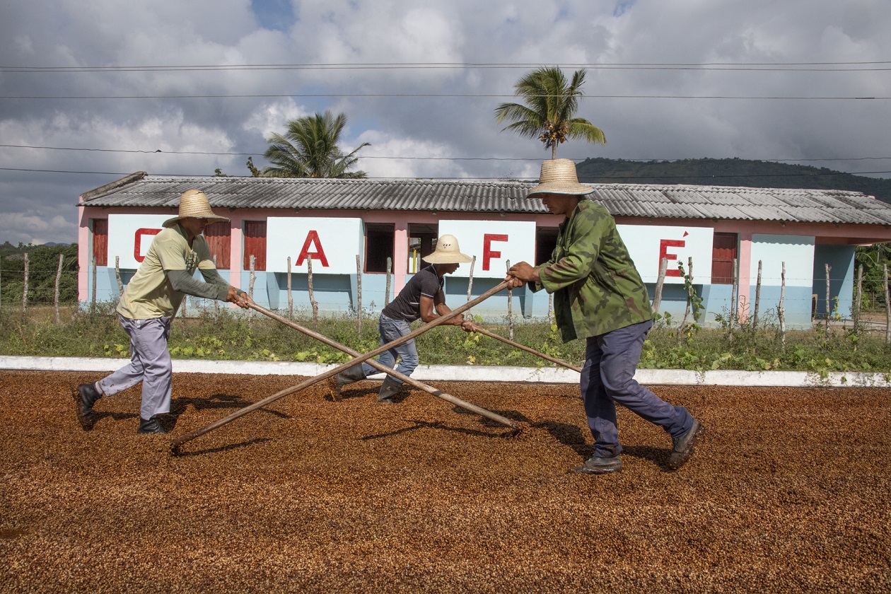L’impegno di Lavazza per sostenere la comunità di Cuba