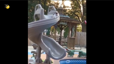 Le disavventure di un gatto al parco giochi