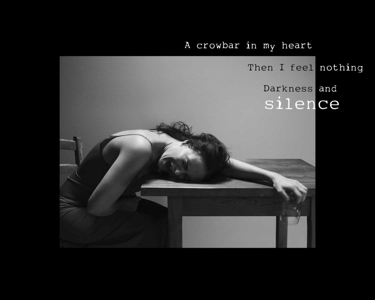 Galleria foto 'Melania Dalla Costa testimonial della campagna 2019 dell’Unicri dell’Onu' - foto 2