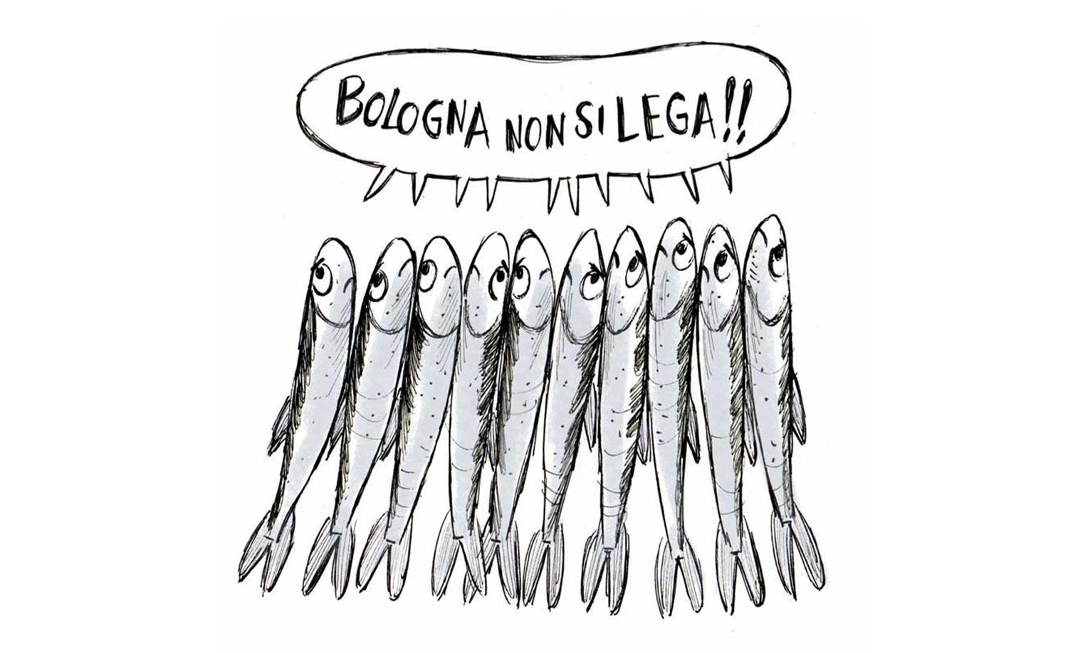 Chi sono le “sardine”: storia di un movimento e del suo nome