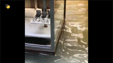 A Venezia la situazione è critica