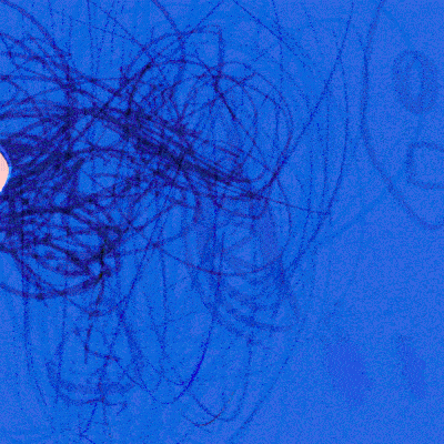 KaySha, le due baby-artiste digitali