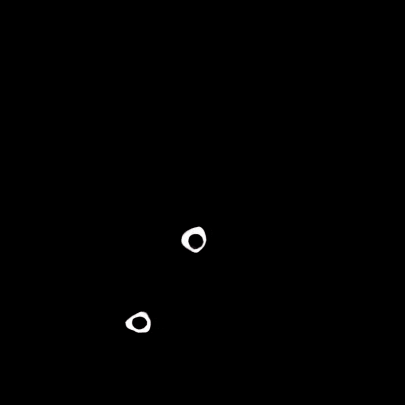 Kay e Sha, le due baby-artiste digitali