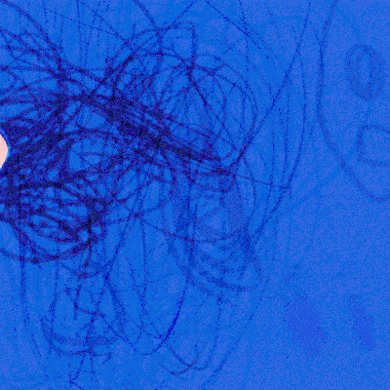 Kay e Sha, le due baby-artiste digitali