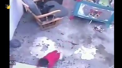 Un gatto salva un bambino che sta per cadere