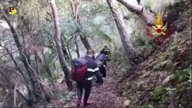 Vigili del fuoco salvano un cane ferito a Catanzaro