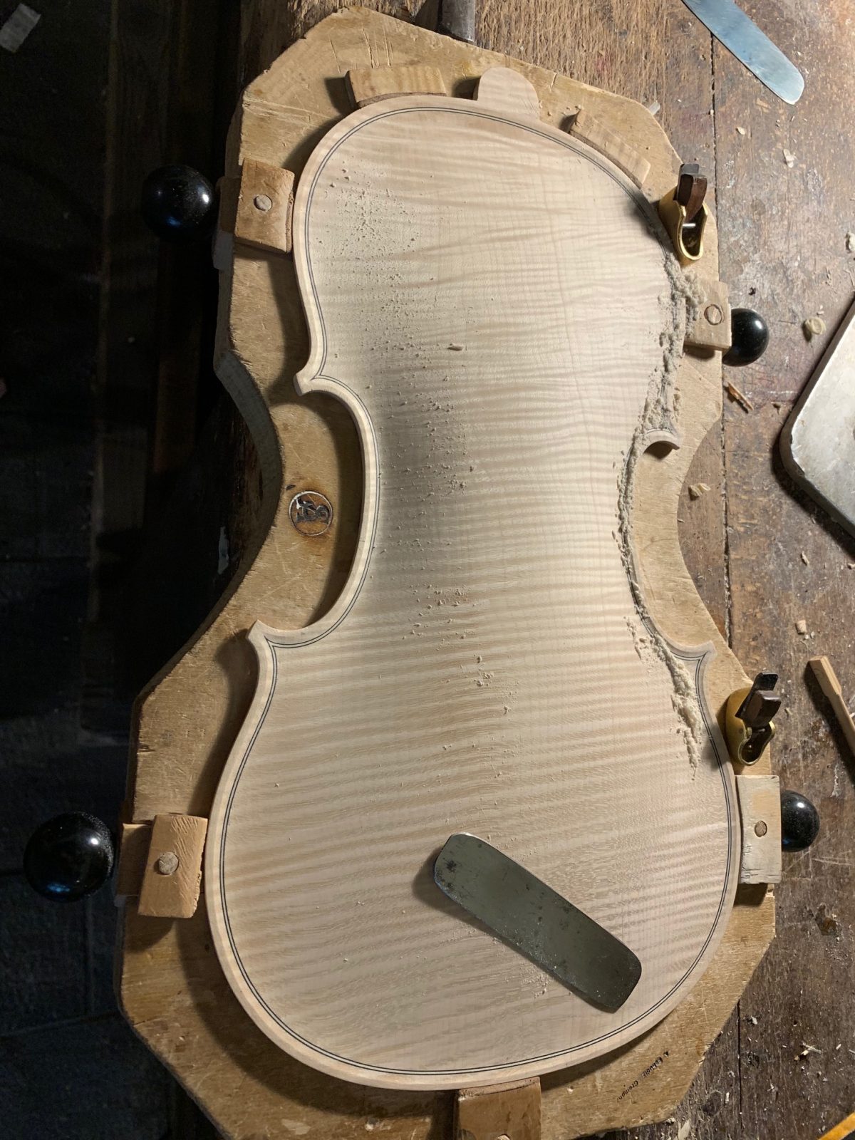 Galleria foto 'Andrea Schudtz, il maestro liutaio di Cremona che ha creato il violino “stellare”' - foto 3