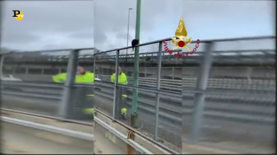 Vigili del Fuoco di Messina salvano gattino in difficoltà