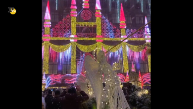 Tempesta di Neve a New York