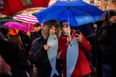 Cosa ci fanno le sardine in un asilo?