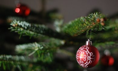 Natale, come noleggiare online albero e presepe