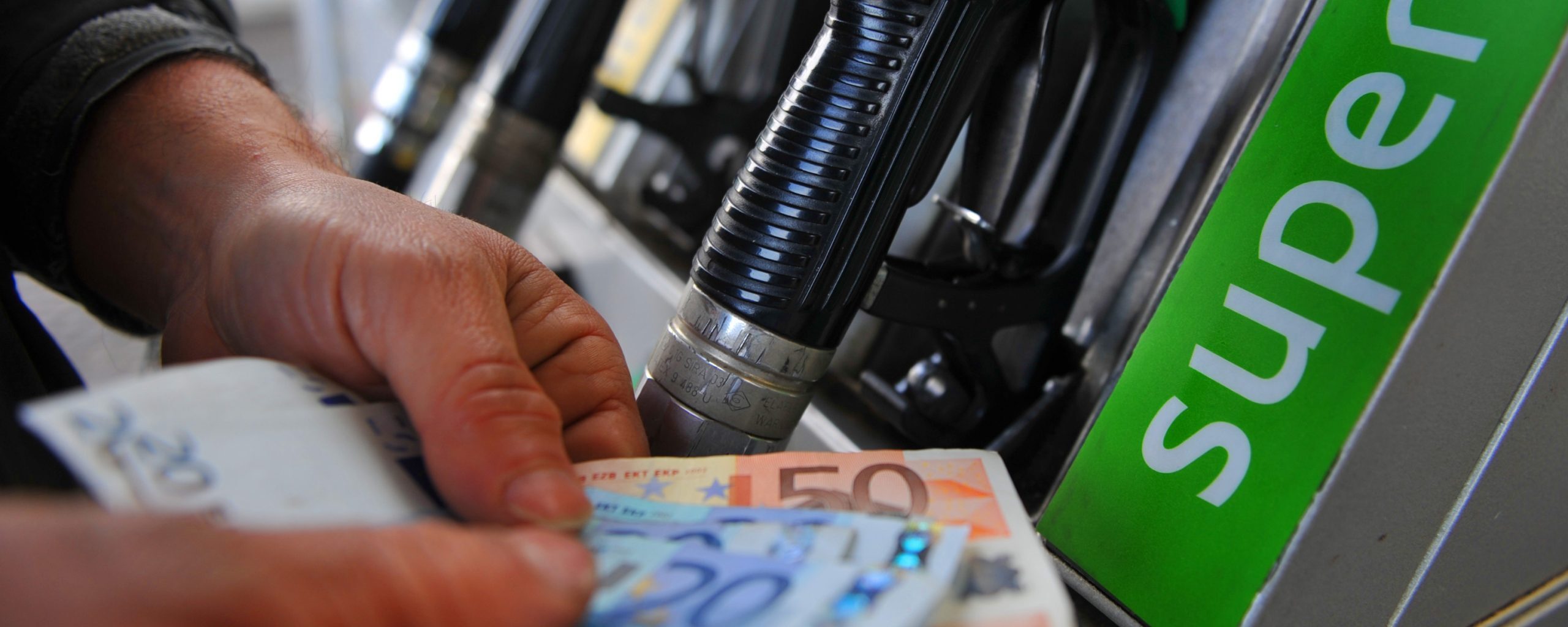 Follie green: quanto costerà la transizione ecologica a famiglie e imprese italiane Follie green: quanto costerà la transizione ecologica a famiglie e imprese italiane