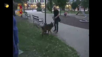 Arrestati dalla polizia di Trento trafficanti di stupefacenti