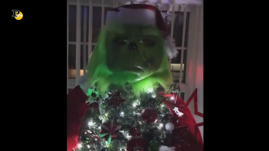 Un’idea davvero sorprendente per l’albero di Natale