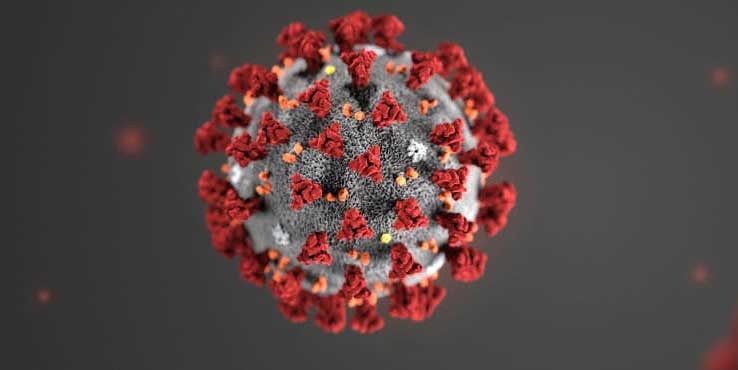Coronavirus: le 6 domande che si fanno gli scienziati